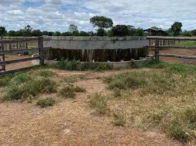 Fazenda venda em Região Geográfica Imediata de Barreiras, Baianópolis