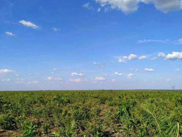 Fazenda venda em Centro, Baixa Grande do Ribeiro