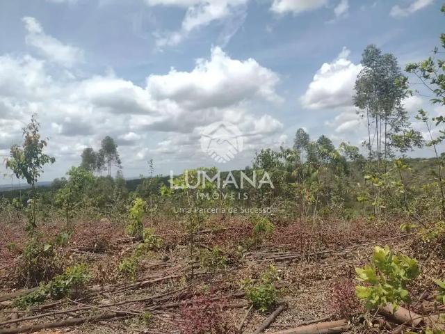 Fazenda venda em Região Geográfica Imediata de Sete Lagoas, Região Metropolitana de Belo Horizonte
