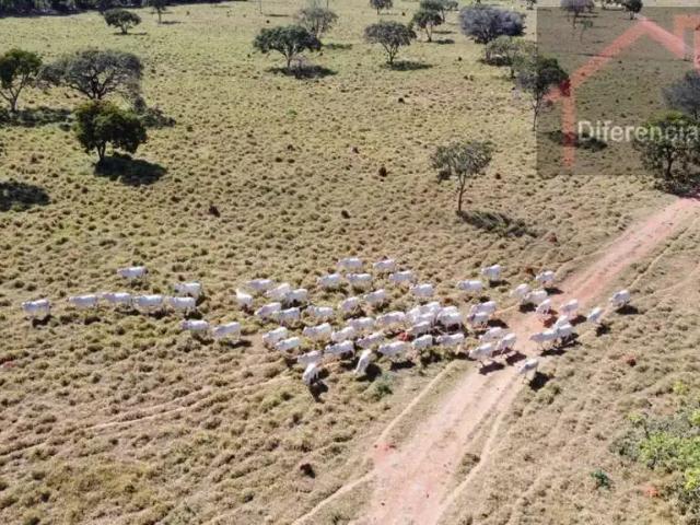Fazenda venda em Baldim, Região Geográfica Intermediária de Belo Horizonte