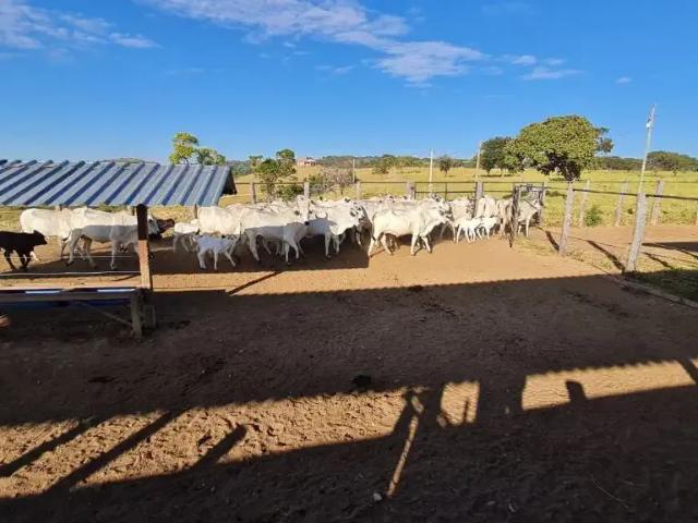Fazenda venda em Região Geográfica Imediata de Sete Lagoas, Região Metropolitana de Belo Horizonte
