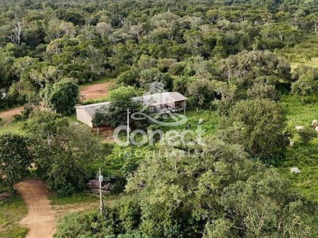 Sítio e chácara venda em Região Geográfica Imediata de Goiânia, Goiânia