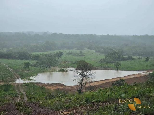 Fazenda venda em Região Geográfica Imediata de Iporá, Baliza