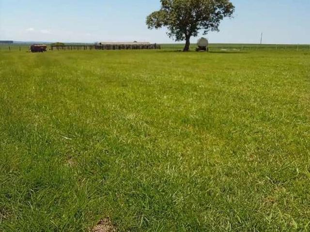 Fazenda venda em Região Imediata de Jales, Dirce Reis
