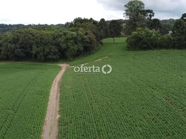 Fazenda venda em Região Geográfica Imediata de Curitiba, Região Metropolitana de Curitiba