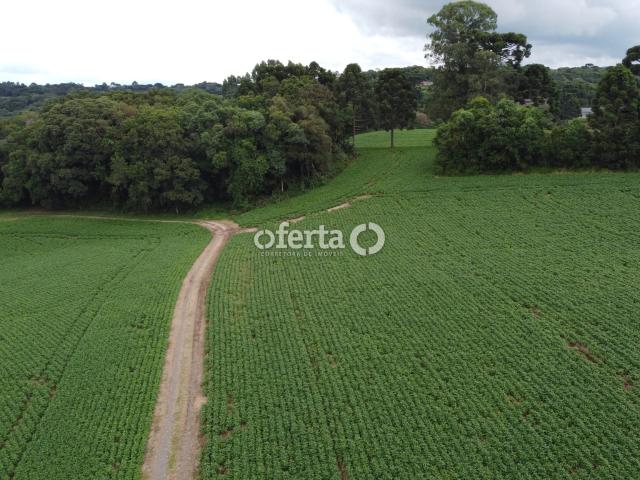 Fazenda venda em Balsa Nova, Região Geográfica Intermediária de Curitiba