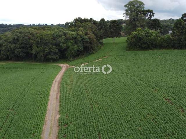 Fazenda venda em Região Geográfica Imediata de Curitiba, Região Metropolitana de Curitiba
