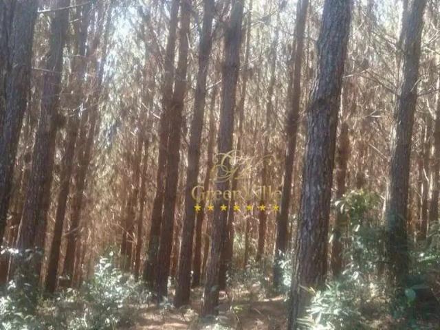 Fazenda venda em Região Geográfica Imediata de Curitiba, Região Metropolitana de Curitiba