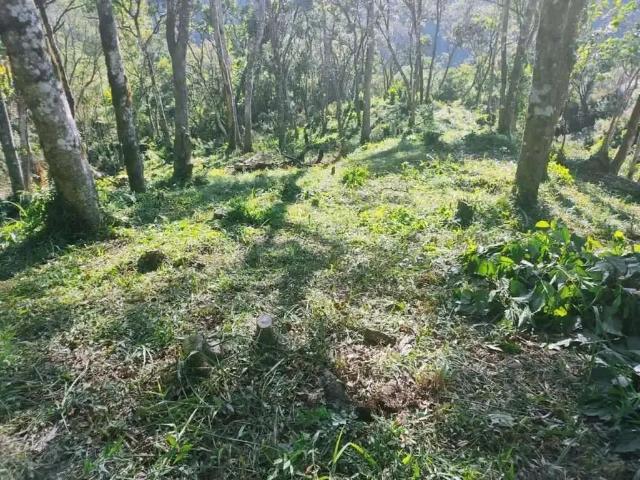 Fazenda venda em Região Geográfica Imediata de Curitiba, Região Metropolitana de Curitiba
