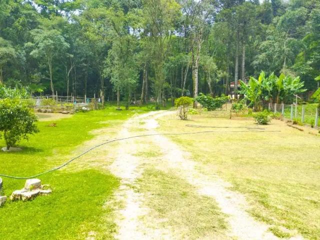 Fazenda venda em Região Geográfica Imediata de Curitiba, Região Metropolitana de Curitiba