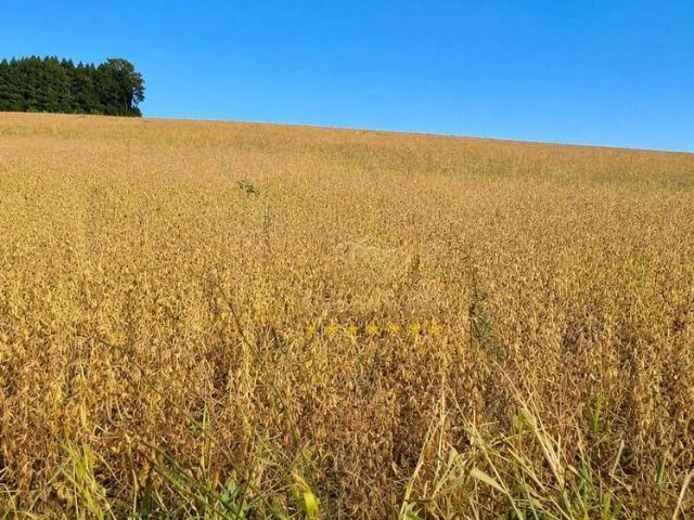Fazenda venda em Balsa Nova, Região Geográfica Intermediária de Curitiba