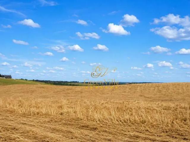 Fazenda venda em Região Geográfica Imediata de Curitiba, Região Metropolitana de Curitiba