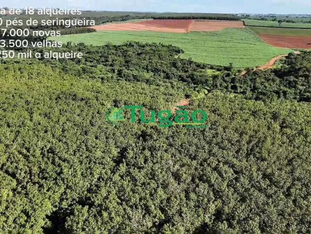 Fazenda venda em Região Imediata de São José do Rio Preto, Região Metropolitana de São José do Rio Preto