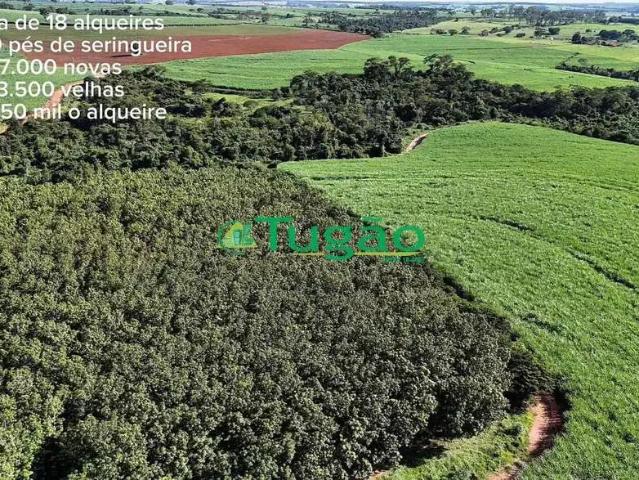 Fazenda venda em Região Imediata de São José do Rio Preto, Região Metropolitana de São José do Rio Preto