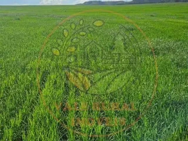 Fazenda venda em Balsas, Região Nordeste