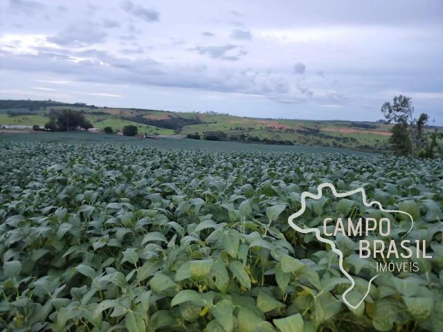 Fazenda venda em Centro, Bambuí