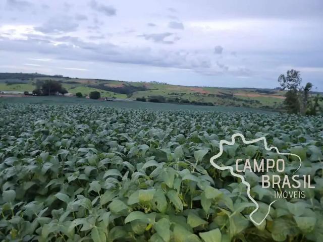 Fazenda venda em Região Imediata de Campinas, Região Metropolitana de Campinas