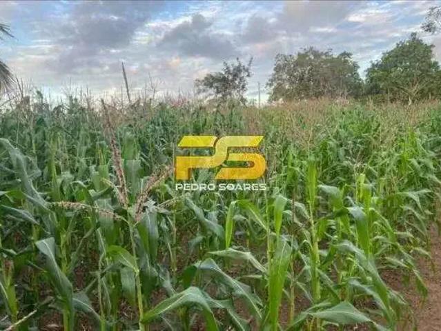 Fazenda venda em Região Geográfica Imediata de Guarabira, Bananeiras