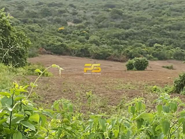 Fazenda venda em Região Geográfica Imediata de Guarabira, Bananeiras