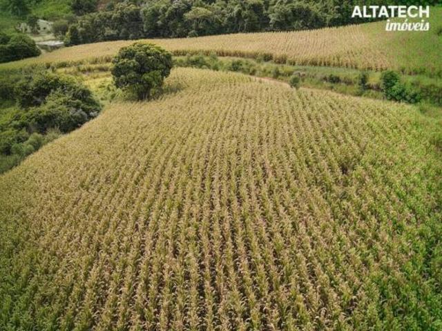 Sítio e chácara venda em Região Geográfica Imediata de Belo Horizonte, Região Metropolitana de Belo Horizonte