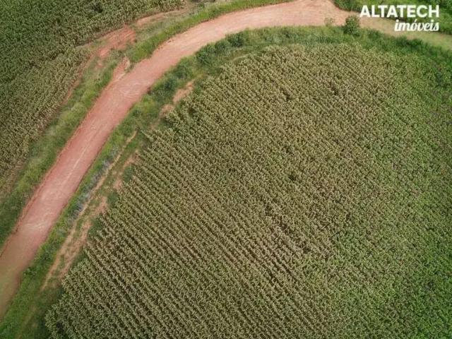 Fazenda venda em Região Geográfica Imediata de Poços de Caldas, Bandeira do Sul