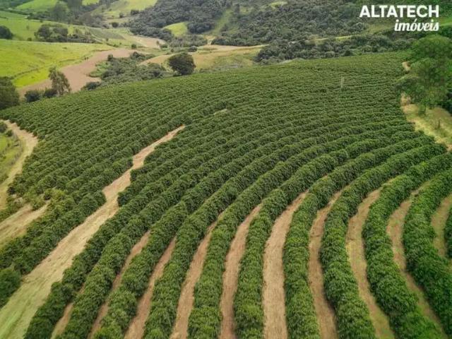 Fazenda venda em Região Geográfica Imediata de Poços de Caldas, Bandeira do Sul