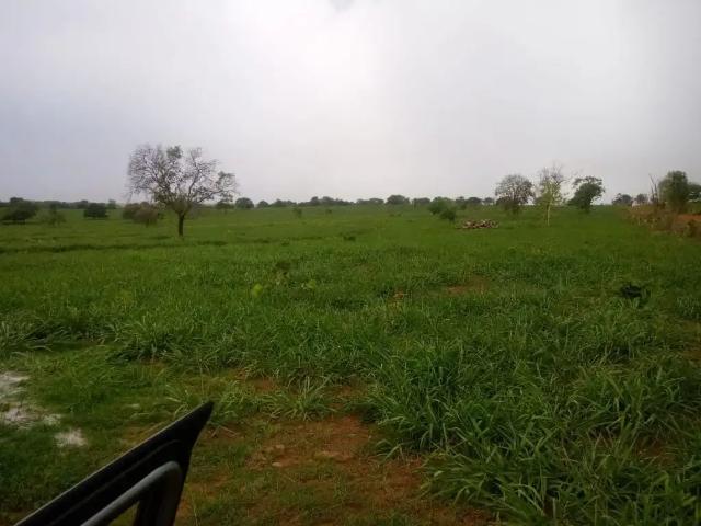 Fazenda venda em Região Geográfica Imediata de Cornélio Procópio-Bandeirantes, Bandeirantes