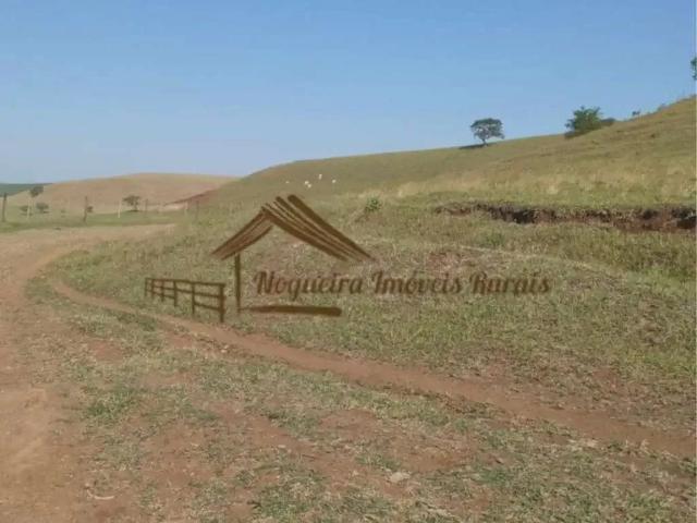 Fazenda venda em Região Geográfica Imediata de Cornélio Procópio-Bandeirantes, Bandeirantes