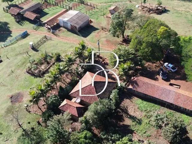 Fazenda venda em Região Geográfica Imediata de Maringá, Maringá