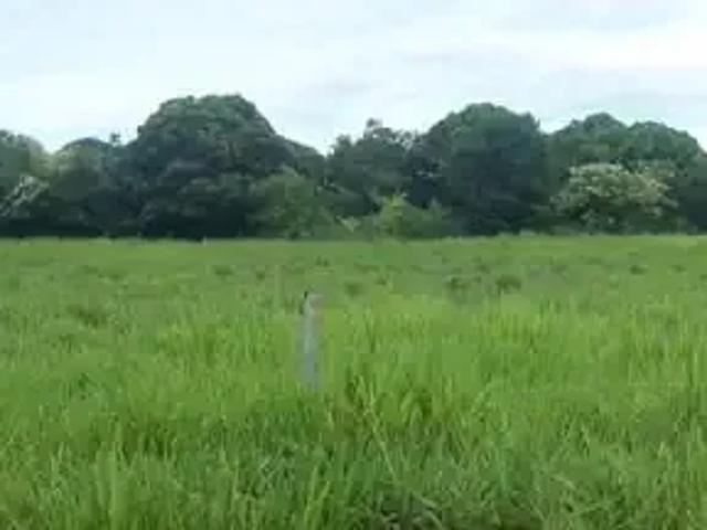 Fazenda venda em Região Geográfica Imediata de Cuiabá, Barão de Melgaço