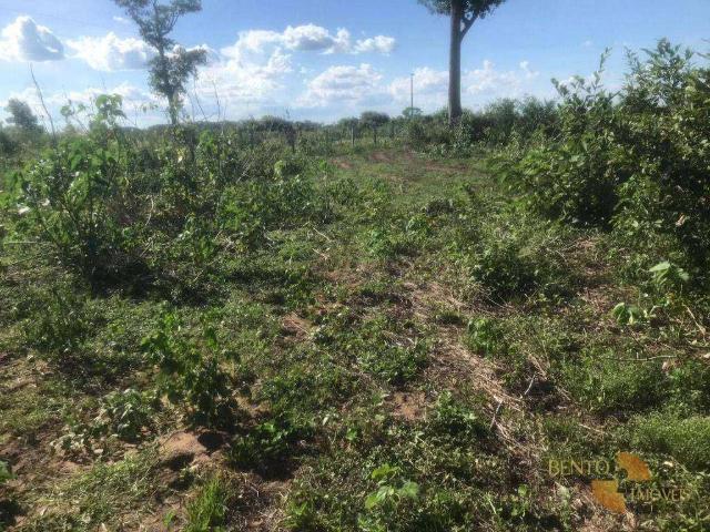 Fazenda venda em COHAB Vila Recreio, Barão de Melgaço