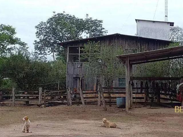 Fazenda venda em Região Geográfica Imediata de Cuiabá, Região Metropolitana do Vale do Rio Cuiabá