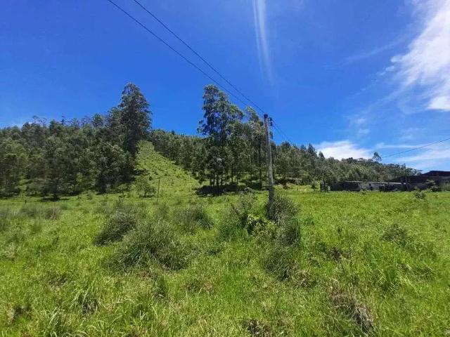 Fazenda venda em Região Geográfica Imediata de Barbacena, Barbacena