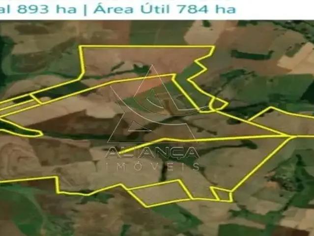 Fazenda venda em Região Imediata de Jaú, Bariri