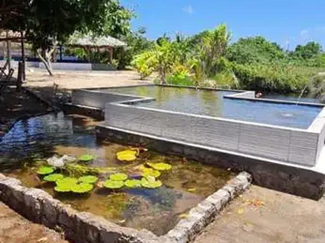 Fazenda venda em Região Geográfica Imediata de Maceió, Barra de São Miguel