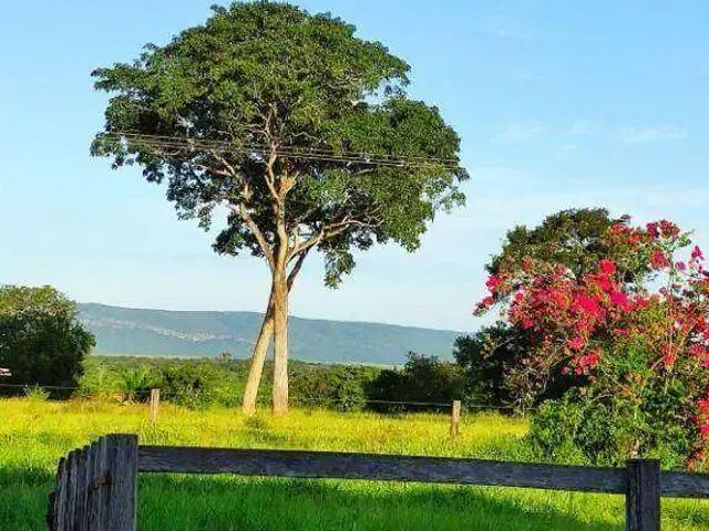 Fazenda venda em Região Geográfica Imediata de Cuiabá, Região Metropolitana do Vale do Rio Cuiabá