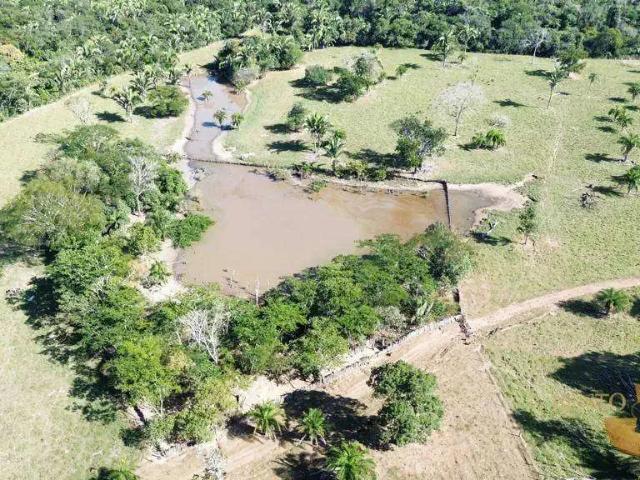 Fazenda venda em Região Geográfica Imediata de Tangará da Serra, Barra do Bugres