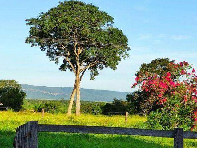 Fazenda venda em Barra do Bugres, Região Geográfica Intermediária de Cuiabá