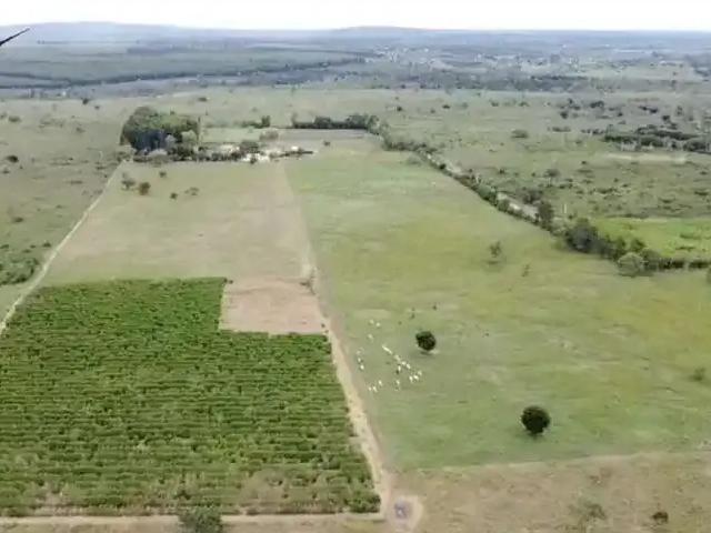 Fazenda venda em Região Geográfica Imediata de Vitória da Conquista, Barra do Choça