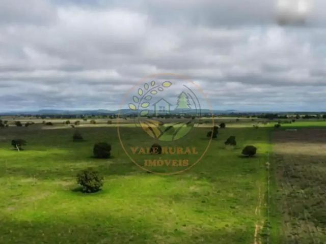 Fazenda venda em Região Geográfica Imediata de Barra do Garças, Barra do Garças