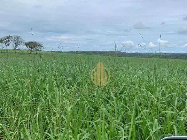 Fazenda venda em Região Geográfica Imediata de Barra do Garças, Barra do Garças