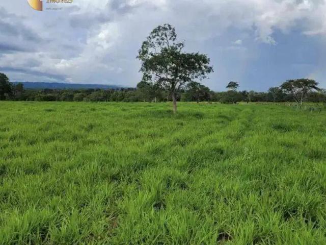 Fazenda venda em Região Geográfica Imediata de Barra do Garças, Barra do Garças