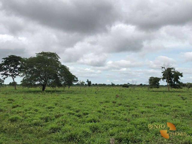 Fazenda venda em Barra do Garças, Região Geográfica Intermediária de Barra do Garças