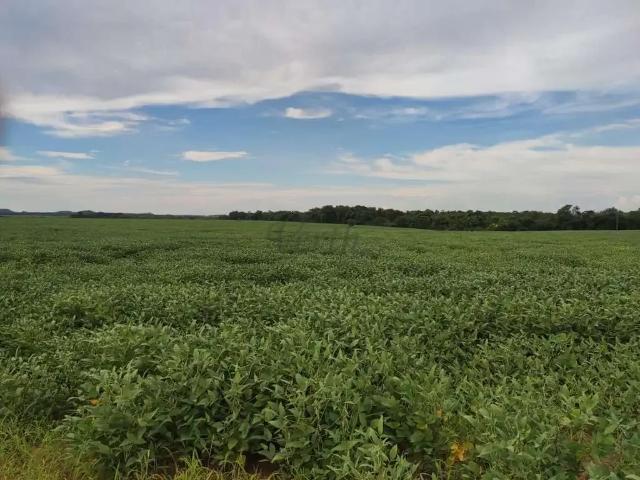 Fazenda venda em Região Geográfica Imediata de Araguaína, Barra do Ouro