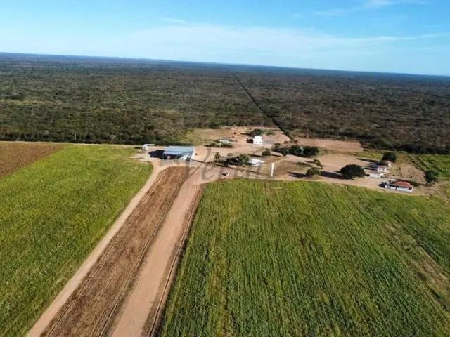 Fazenda venda em Barra, Região Nordeste