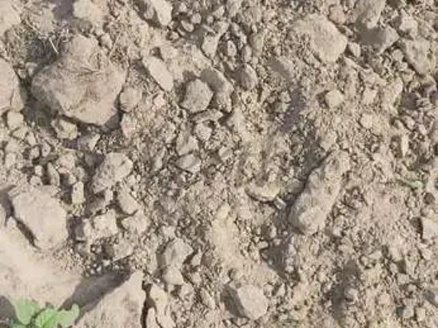 Fazenda venda em Barra, Região Nordeste