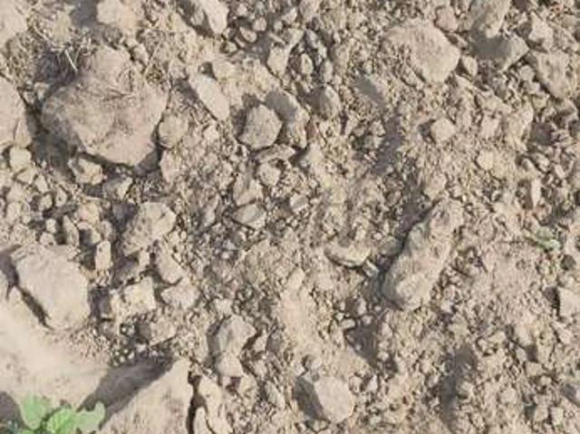Fazenda venda em Barra, Região Geográfica Intermediária de Irecê