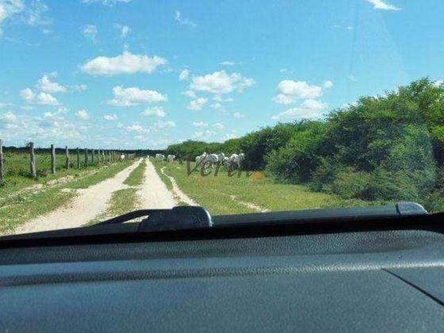 Fazenda venda em Barra, Região Nordeste