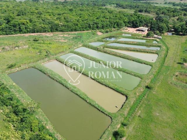 Fazenda venda em Região Geográfica Imediata de Barreiras, Barreiras