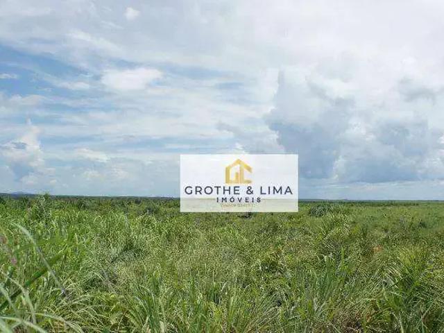 Fazenda venda em Região Geográfica Imediata de Barreiras, Barreiras